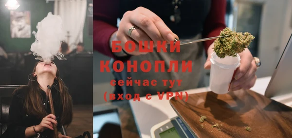прущие крисы Аркадак